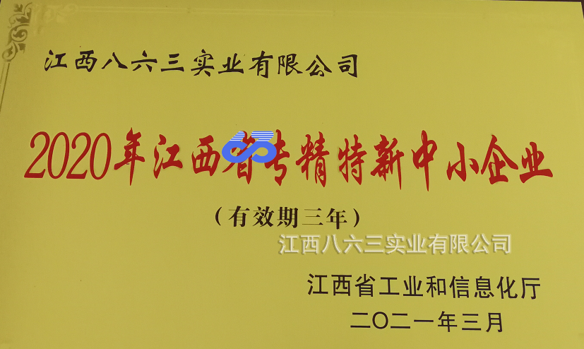 世界杯網站推薦 - 2026世界杯官網喜獲國家級專精特新“小巨人”稱號